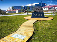 天华矿业集团