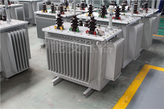 S22-250KVA/10KV变压器